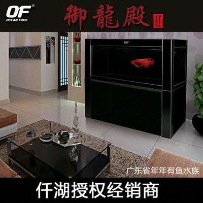 龍魚缸小夜燈用什么顏色好：關(guān)于龍魚缸小夜燈顏色選擇的詳細(xì)建議