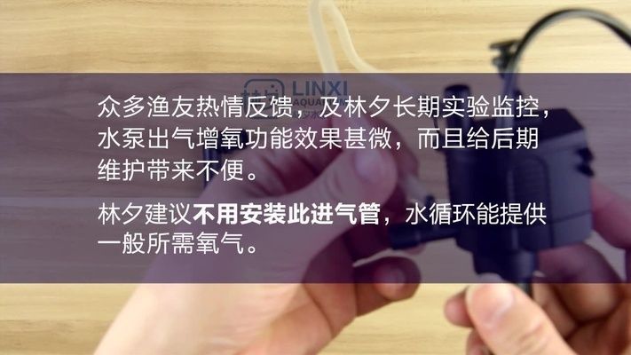 紅龍魚的最好品種多少錢一條啊圖片大全（紅龍魚的最好品種多少錢一條啊圖片大全視頻）
