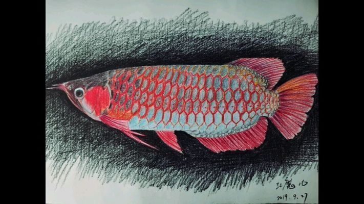紅龍魚國畫，紅龍魚國畫的創作技法與吉祥寓意的關聯紅龍魚國畫