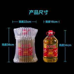 金龍魚能長多寬：金龍魚的成年體長大概多少？