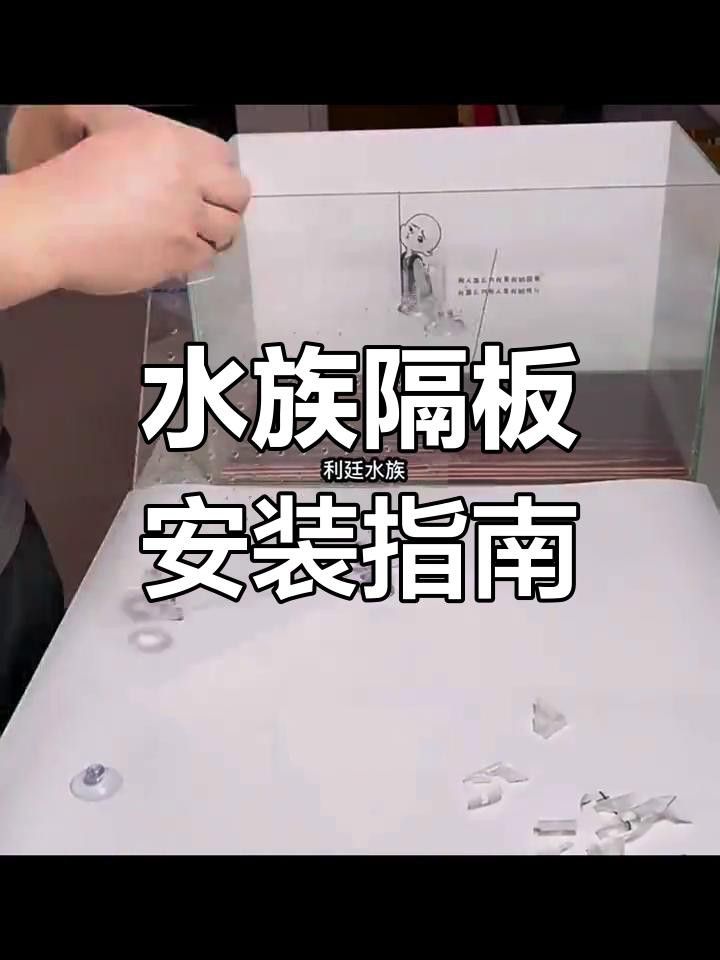 如何安裝龍魚混養的隔離板？