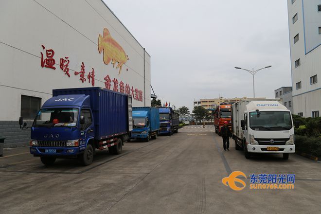 金龍魚車間崗位是做什么,金龍魚動力車間儲備崗位 龍魚百科 第3張 金龍魚車間崗位是做什么,金龍魚動力車間儲備崗位 金龍魚車間崗位是做什么,金龍魚動力車間儲備崗位 龍魚百科 第3張