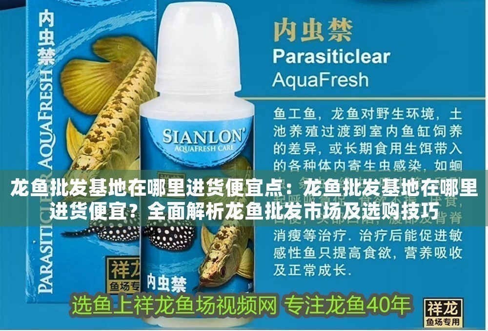 龍魚批發(fā)基地在哪里進(jìn)貨便宜點(diǎn)：龍魚批發(fā)基地在哪里進(jìn)貨便宜？全面解析龍魚批發(fā)市場(chǎng)及選購(gòu)技巧