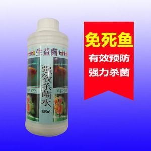 龍魚能用殺菌水嗎：如何自制龍魚殺菌水