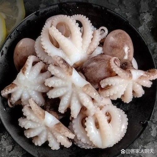 八爪龍魚圖片大全