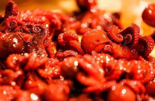 八爪龍魚圖片大全