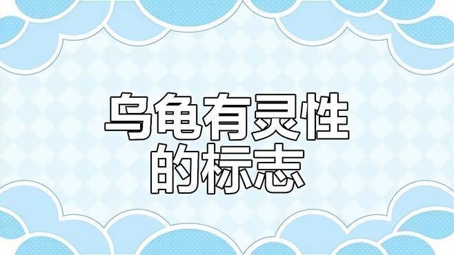 如何判斷龍龜是否具有靈性？