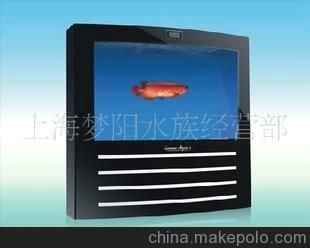 魚缸專賣店