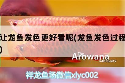 如何讓龍魚發色更好看一點，如何提高龍魚發色效果