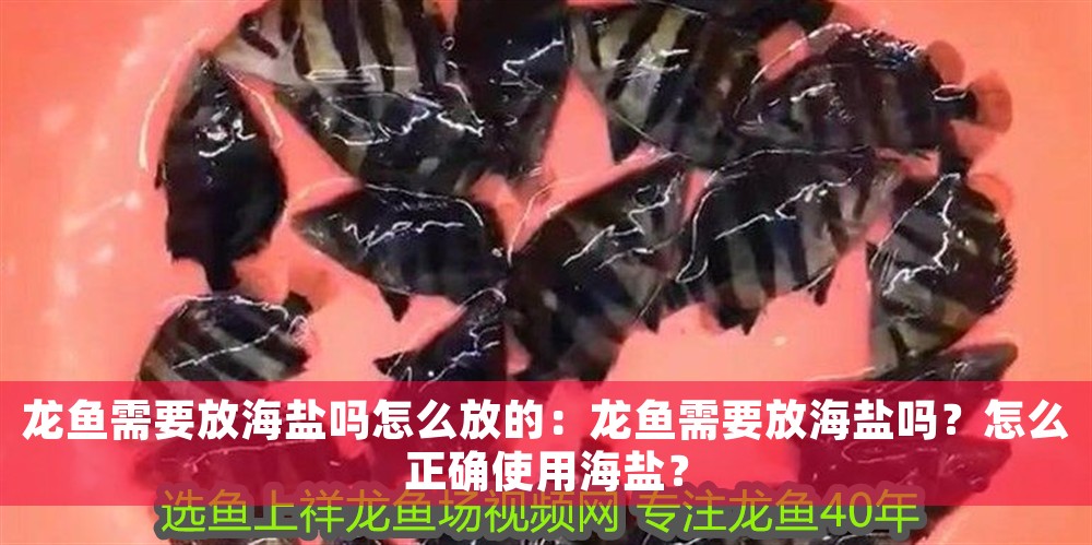 龍魚需要放海鹽嗎怎么放的：龍魚需要放海鹽嗎？怎么正確使用海鹽？