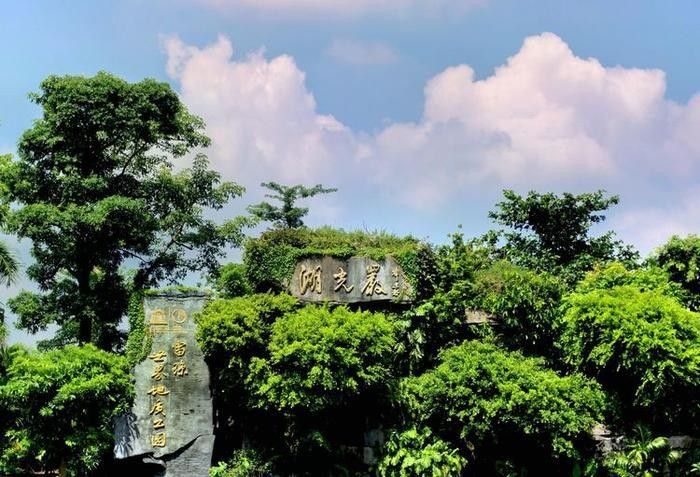 龍魚神龜傳說在線觀看高清