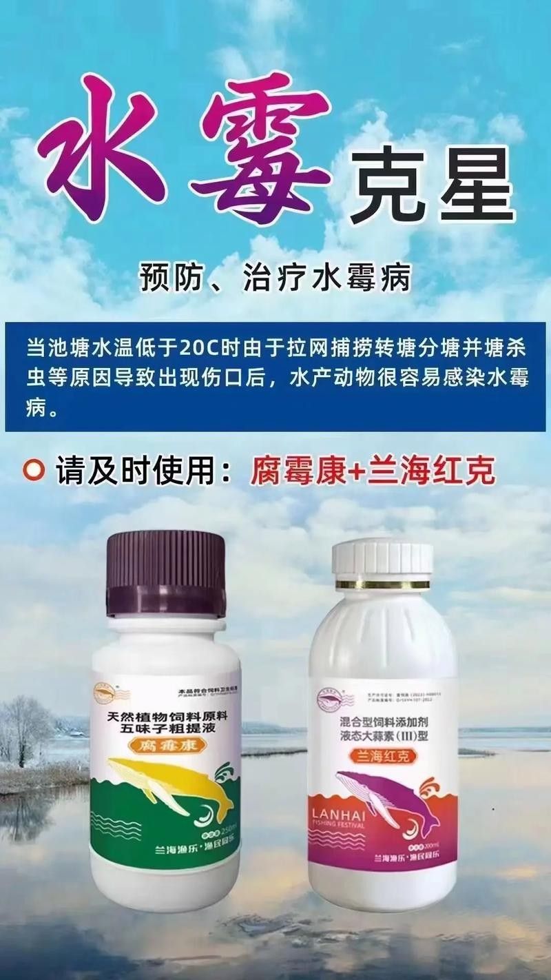 銀龍魚身上長白毛怎么治療圖片