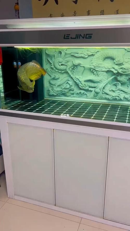 翡翠綠底金龍魚圖片