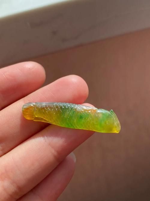 翡翠綠底金龍魚圖片
