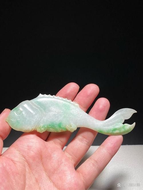 翡翠綠底金龍魚圖片