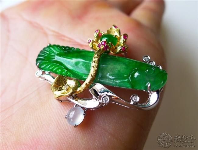 翡翠綠底金龍魚圖片