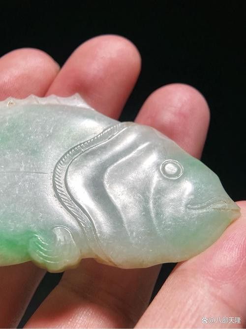 翡翠綠底金龍魚圖片