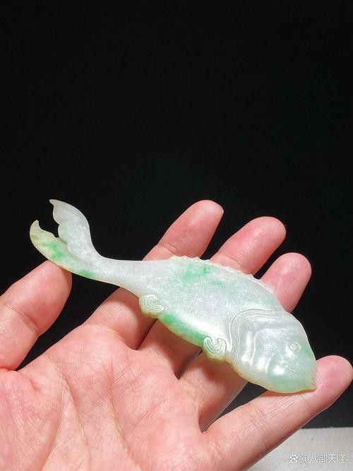 翡翠綠底金龍魚圖片