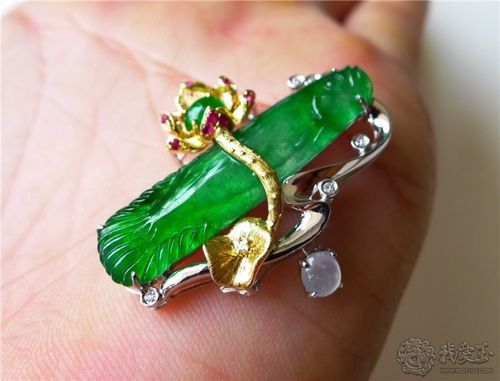 翡翠綠底金龍魚圖片