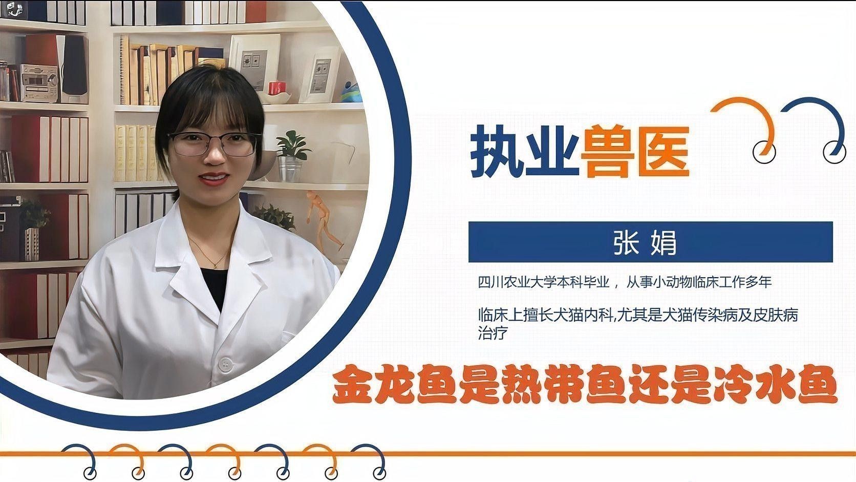 冷水金龍魚做法