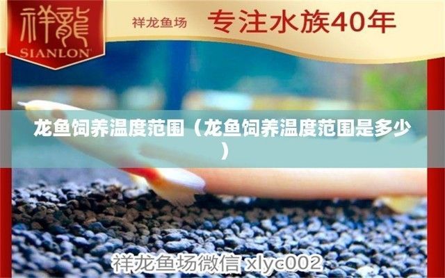 龍魚的飼養(yǎng)溫度是多少合適：龍魚適應(yīng)新水溫方法,幼龍魚飼養(yǎng)最佳溫度,成年龍魚日常護(hù)理要點(diǎn)