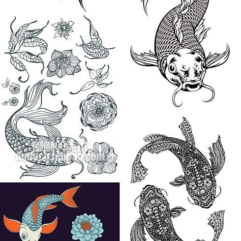龍魚圖案：如何尋找龍魚圖案的相關素材和設計模板