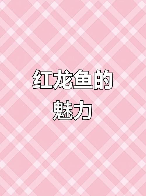 紅龍魚的視頻大全圖片高清