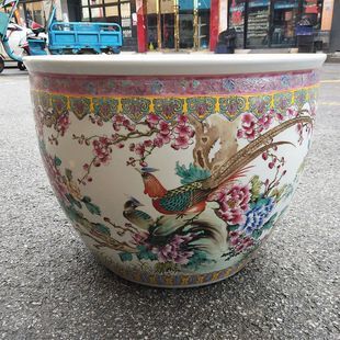 景德鎮魚缸圖片及價格表（景德鎮魚缸養護技巧）