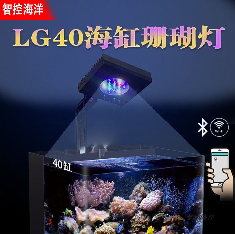 金龍魚的品相怎么看好壞，如何判斷金龍魚的品相好壞