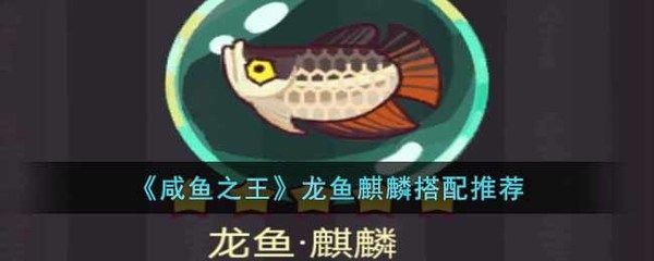 我的龍魚一直不好好吃怎么解決問題：龍魚食欲不振可能是由于多種原因引起的