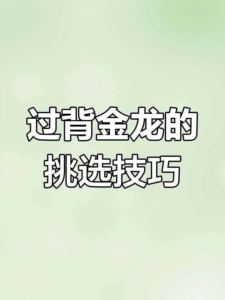 如何判斷過背金龍魚的品質