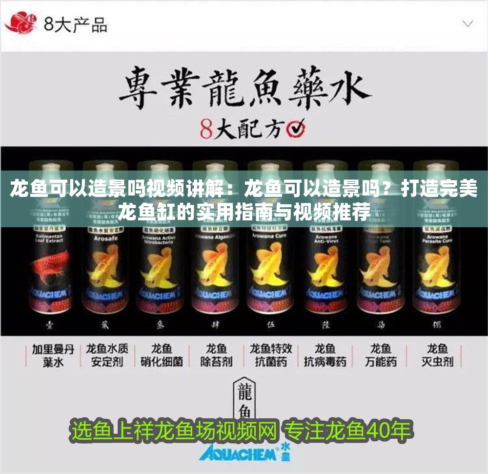龍魚可以造景嗎視頻講解：龍魚可以造景嗎？打造完美龍魚缸的實用指南與視頻推薦