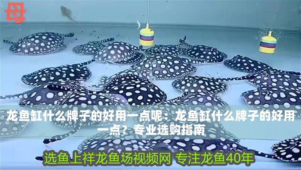 龍魚缸什么牌子的好用一點呢：龍魚缸什么牌子的好用一點？專業選購指南