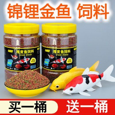 龍魚人工飼料品牌：龍魚飼料、魚飼料、魚飼料品牌創(chuàng)建時(shí)間、品牌創(chuàng)建時(shí)間