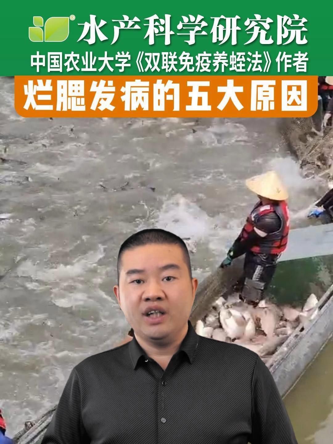 如何預防魚鰓再次爛洞？