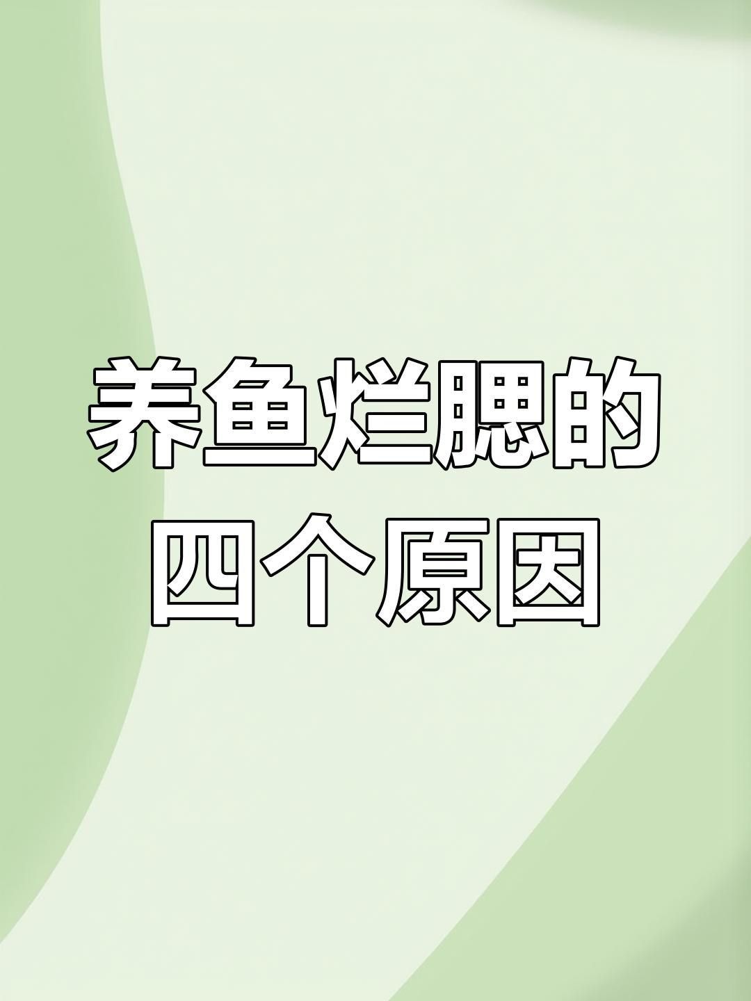 如何預防魚鰓再次爛洞？