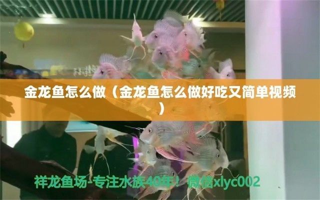 金龍魚膠須條蒸多久（金龍魚膠須條的蒸制時間）
