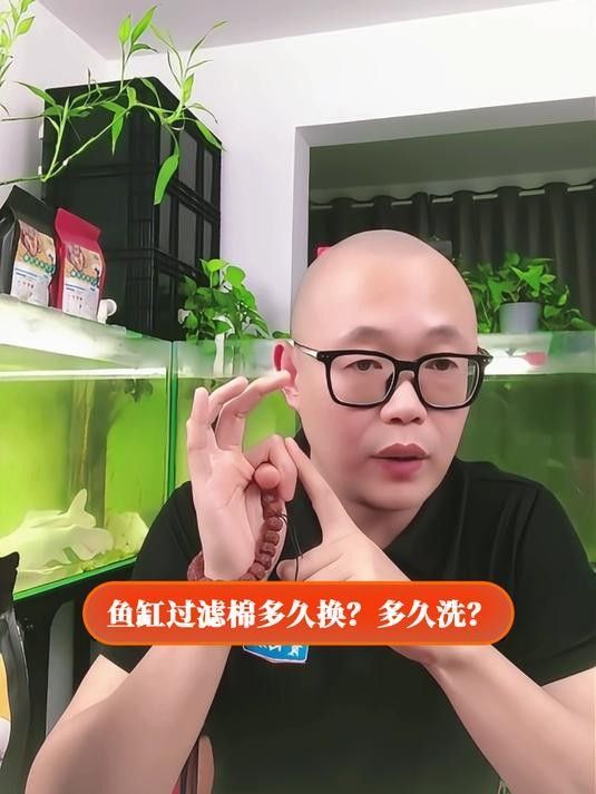 龍魚缸過濾棉多久換一次合適？