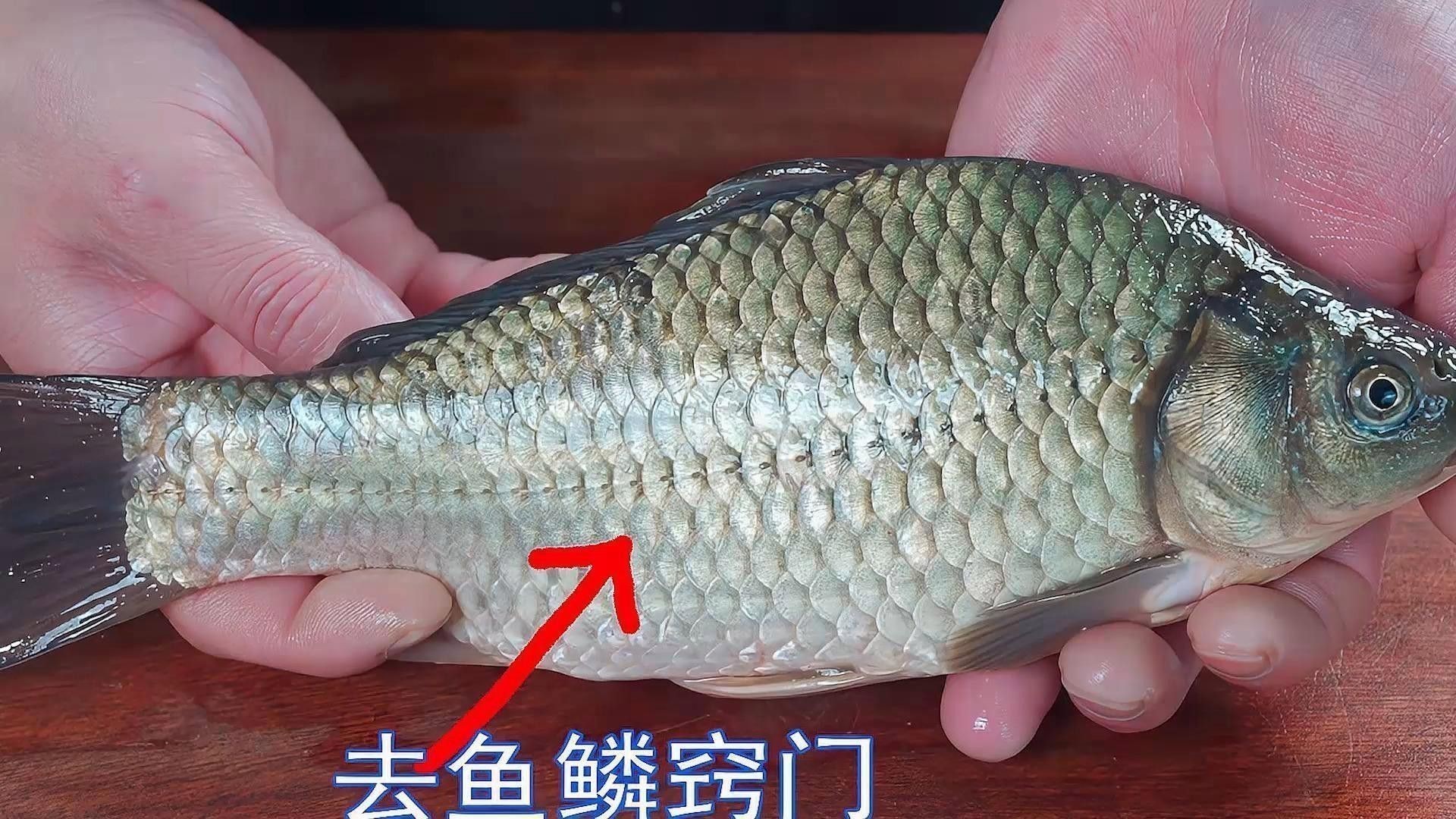 紅龍魚烹飪時需要去鱗嗎？