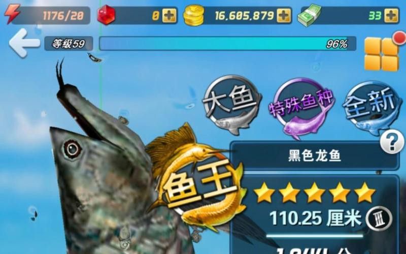 有黑色龍魚嗎視頻大全