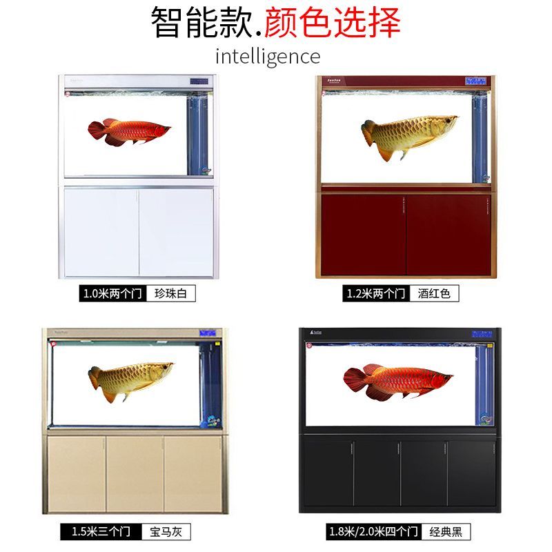 龍魚缸底什么顏色合適圖片：龍魚缸底的顏色選擇對于整體的觀賞性有著重要的影響