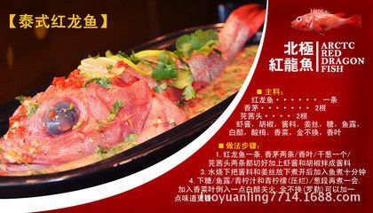紅龍魚喂什么好（紅龍魚吃什么最好）