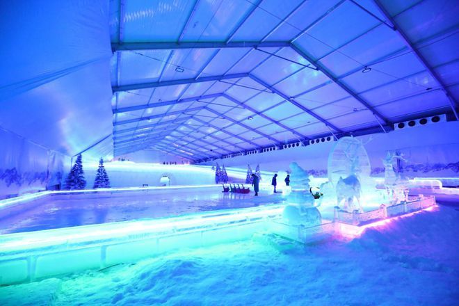 人工雪龍魚（人工養(yǎng)殖雪龍魚的方法）