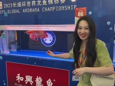 長城杯龍魚大賽死亡