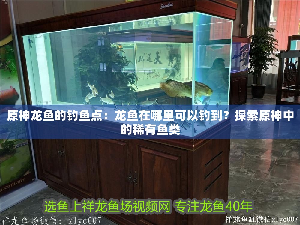 原神龍魚的釣魚點：龍魚在哪里可以釣到？探索原神中的稀有魚類