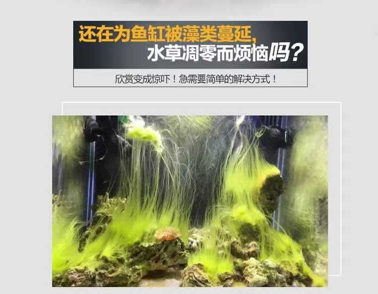 龍魚魚缸除藻方法（龍魚缸中綠藻的方法是除藻的最好方法之一）