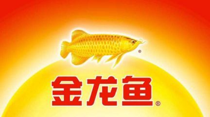 金龍魚(yú)下屬企業(yè)，金龍魚(yú)下屬企業(yè)介紹