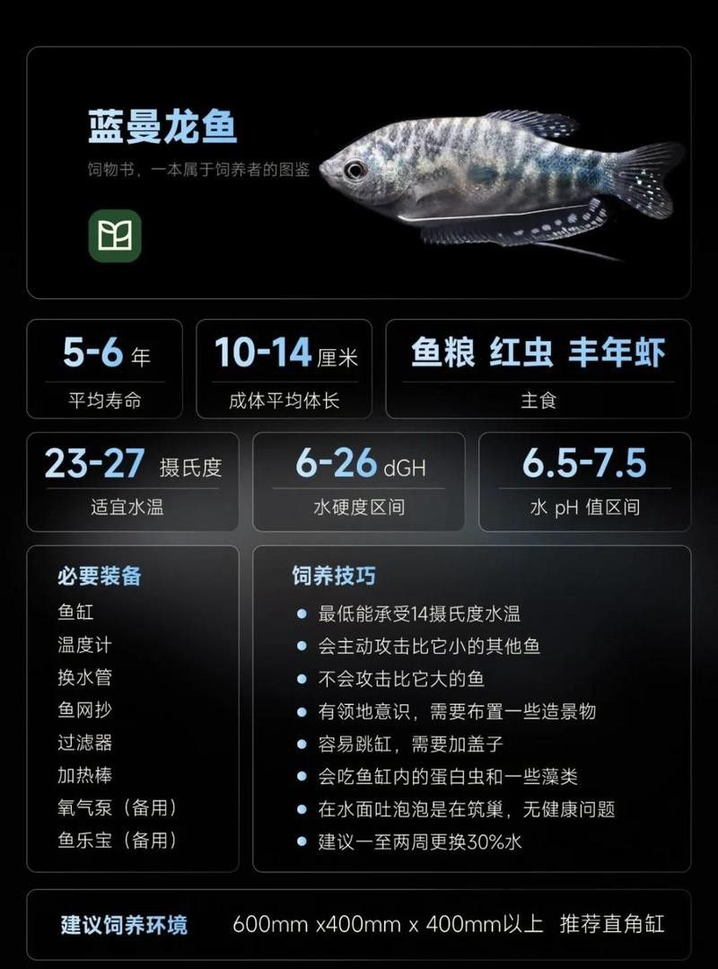 曼龍魚成魚喂什么飼料好？
