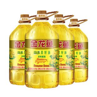 韓錦魚缸（韓錦魚缸的日常維護技巧）
