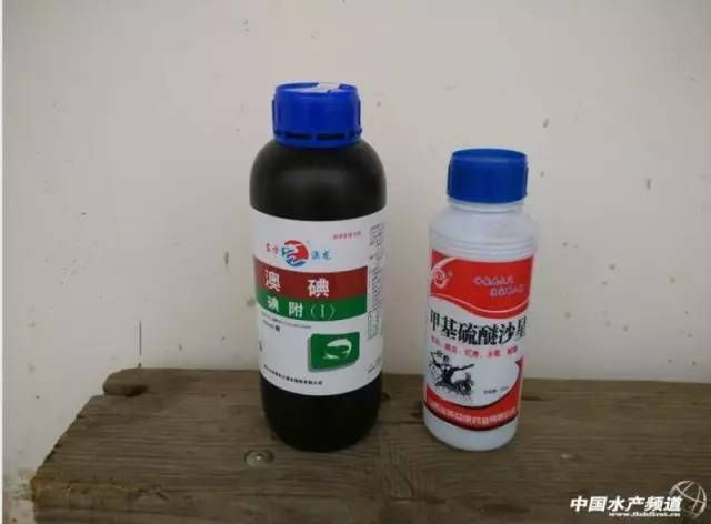 水霉病專用治療劑的使用方法：水霉病專用治療劑使用方法